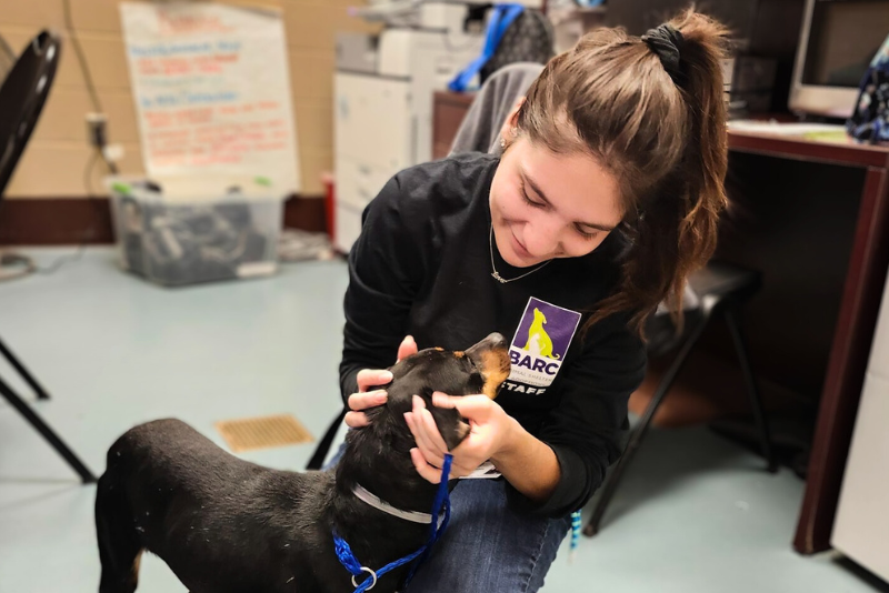 staff member petting dog